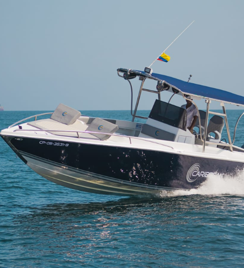 Botes Deportivos