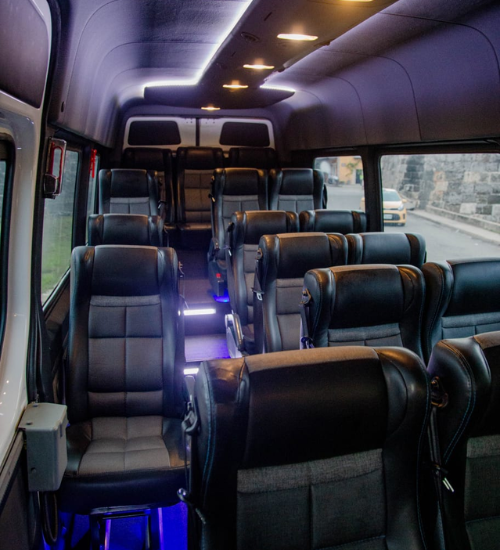 City Tour en Vans Climatizada