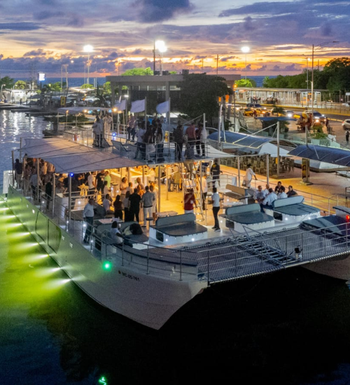 Atardecer en Catamarán VIP